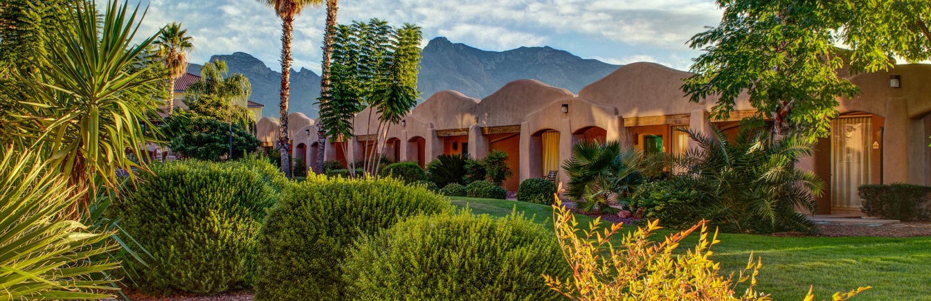 Find Bliss in Tucson 