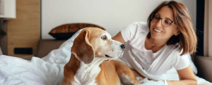 pet friendly tucson resort