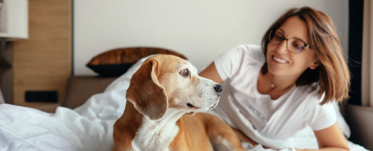 tucson hotels with pet package